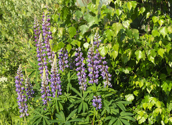 Similar image 21208980