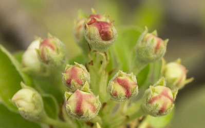 Similar image 21208981