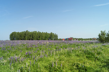 Similar image 21208982