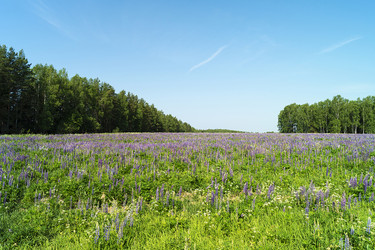 Similar image 21208983