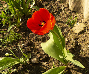 Similar image 21208984