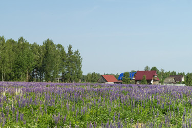 Similar image 21208985