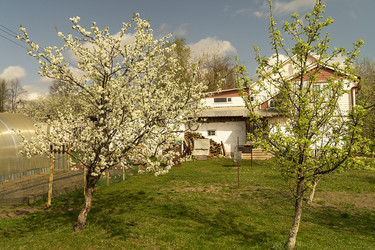 Similar image 21208986