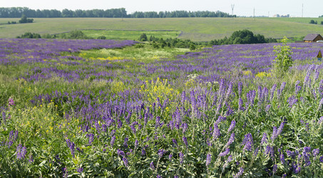 Similar image 21208987