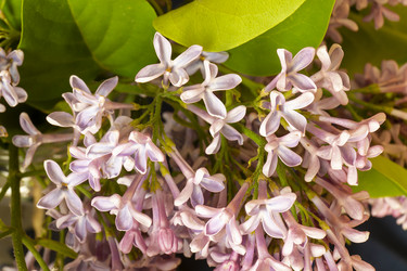 Similar image 21209018