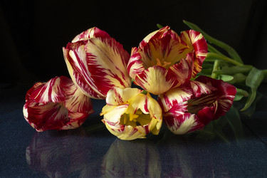 Similar image 21209019