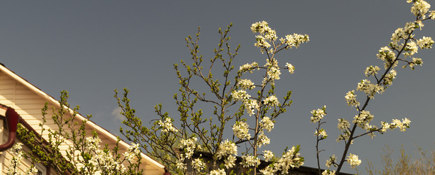 Similar image 21209020