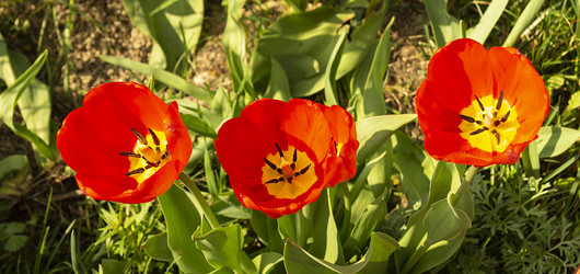 Similar image 21209072