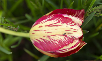 Similar image 21209073