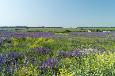 Similar image 21209075