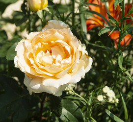 Similar image 21218676