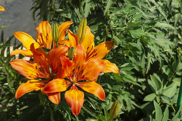 Similar image 21218677