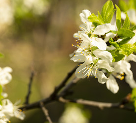 Similar image 21218678