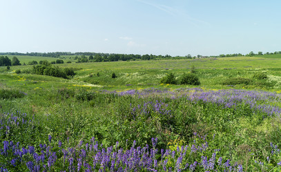 Similar image 21218679