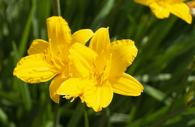 Similar image 21218912