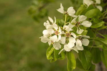 Similar image 21218914