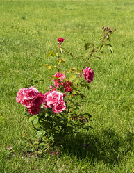 Similar image 21218917