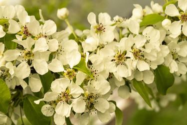 Similar image 21218918