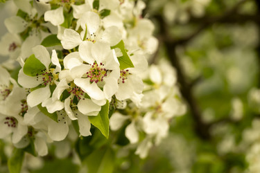 Similar image 21218920