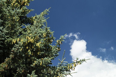 Similar image 21218923