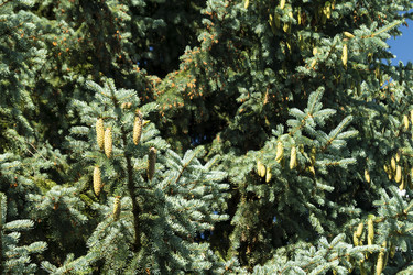 Similar image 21218925