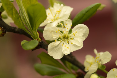 Similar image 21218926