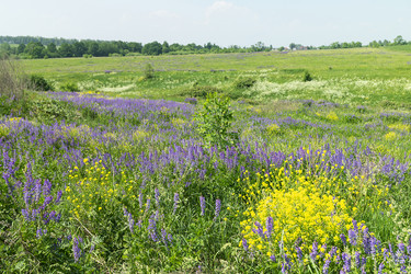 Similar image 21218927