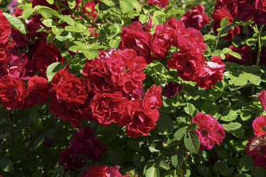 Similar image 21218931