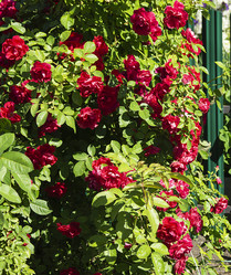 Similar image 21218933