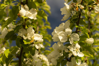 Similar image 21218934