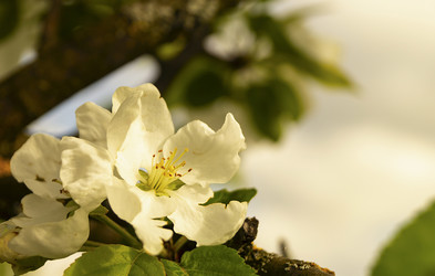 Similar image 21218939