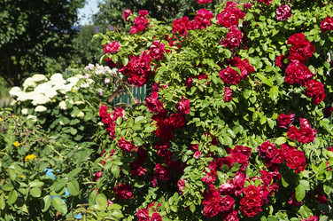 Similar image 21218940