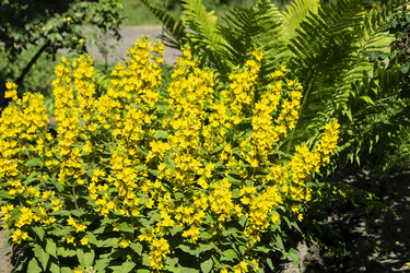 Similar image 21218944