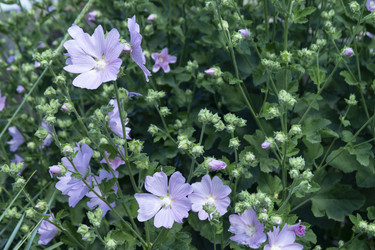 Similar image 21218946