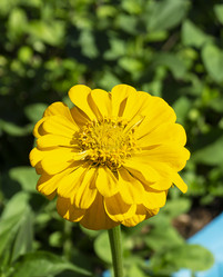 Similar image 21218947