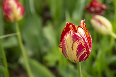 Similar image 21218948