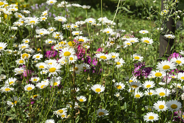 Similar image 21218949