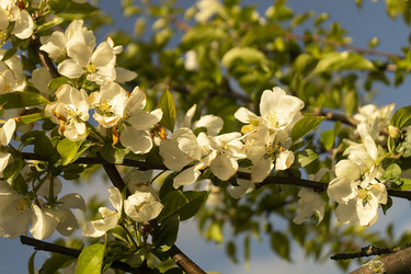 Similar image 21218950