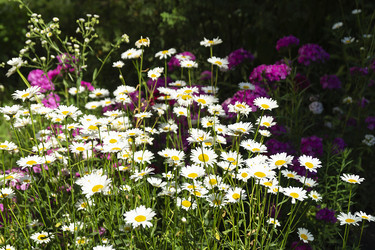 Similar image 21218951