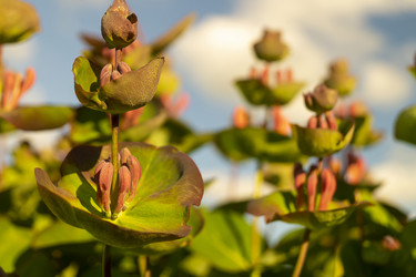 Similar image 21218952