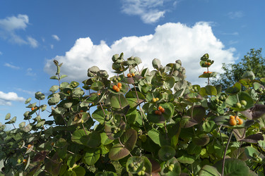 Similar image 21218953