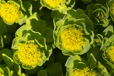 Similar image 21218954