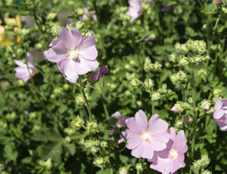 Similar image 21218957