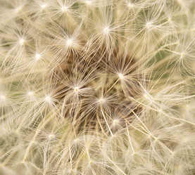 Similar image 21218958