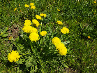 Similar image 21218961