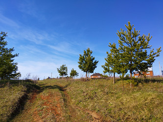 Similar image 21218968