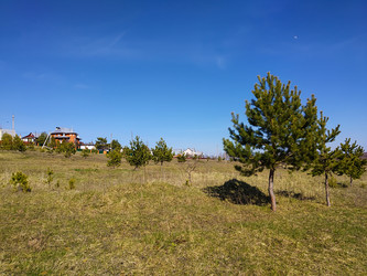 Similar image 21218969