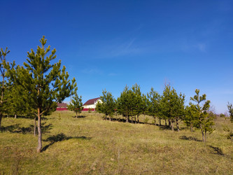 Similar image 21218970