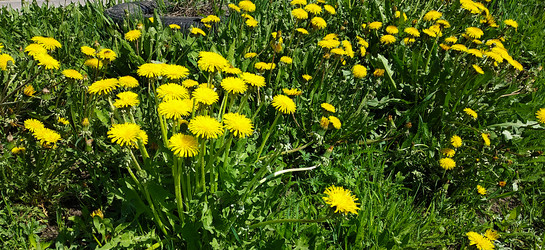 Similar image 21218978