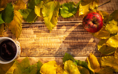 Similar image 21246855